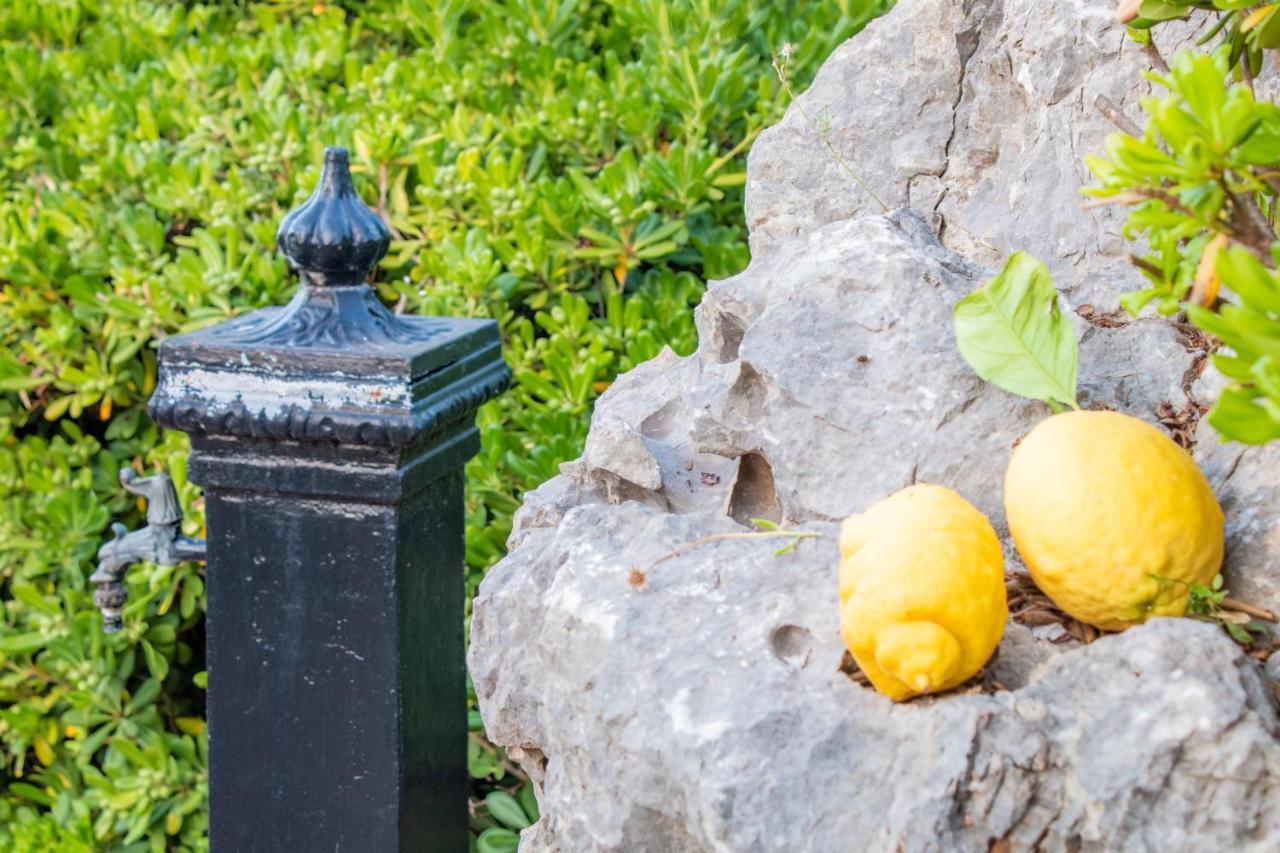 Villino Agave Villa San Vito Lo Capo Buitenkant foto