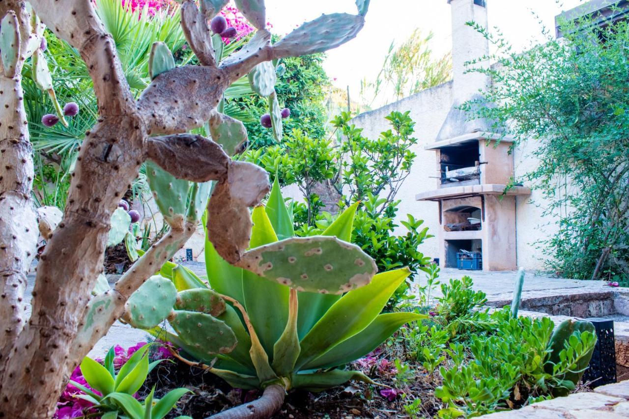 Villino Agave Villa San Vito Lo Capo Buitenkant foto
